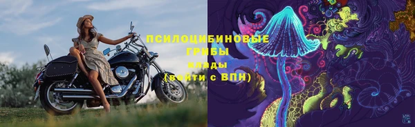 сатива Алзамай