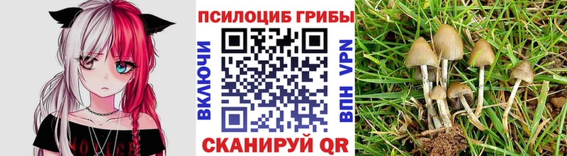 Псилоцибиновые грибы GOLDEN TEACHER Иланский